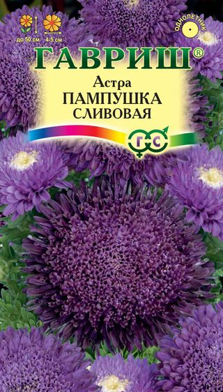 Астра Пампушка сливовая 0,3г