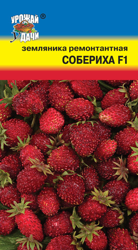 Земляника Собериха F1 ремонтантная ц/п УУ