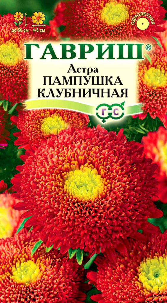 Астра Пампушка клубничная 0,3г