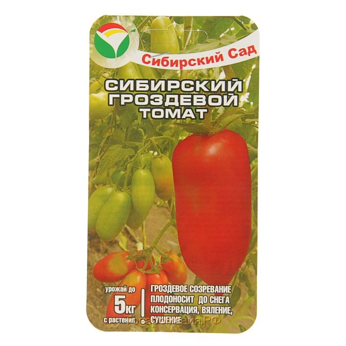 Томат Сибирский Гроздевой 20шт "СибСад"