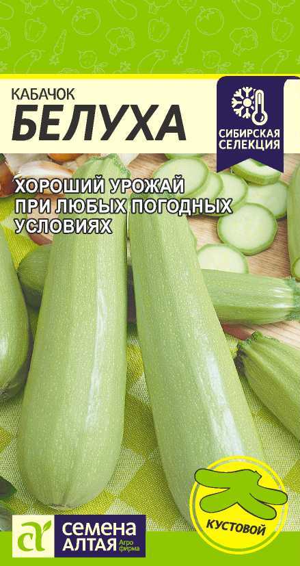 Кабачок Белуха 2г "Алтай"