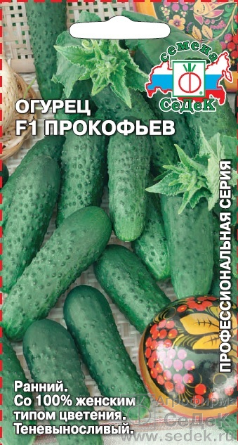 Огурец Прокофьев F1,"Седек"