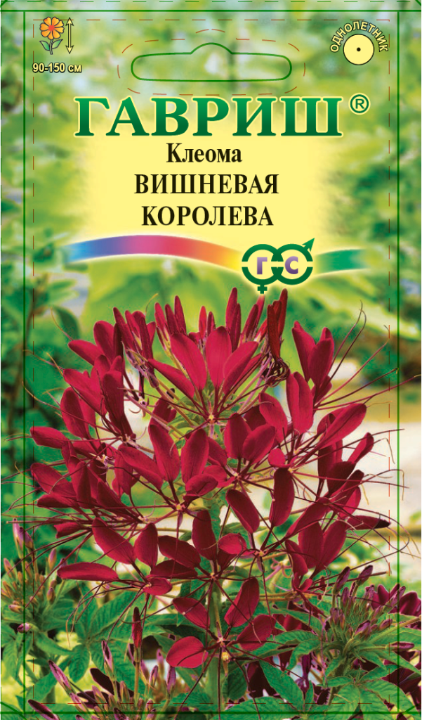 Клеома Вишнёвая королева, 0,3г