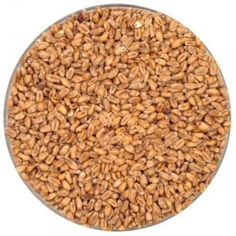 Солод светлый пивовар. Pilsner 1кг (Курский)