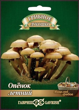 Опенок летний на древесной палочке 12шт