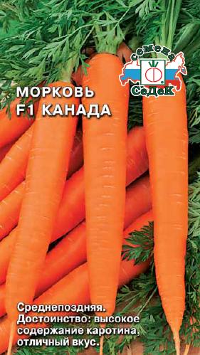Морковь Канада F1,  "Седек"