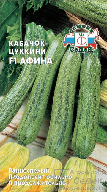Кабачок Афина F1 "Седек"