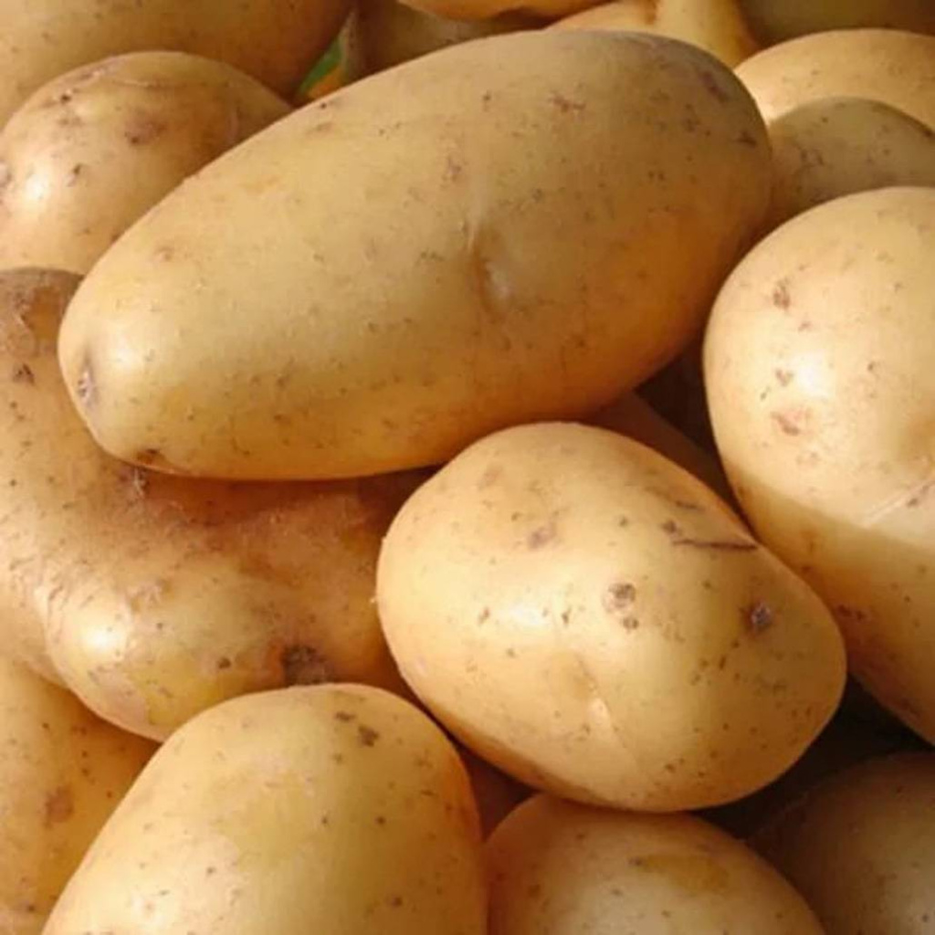 Картофель семенной Варяг (2021г) ЦЕНА за 1кг