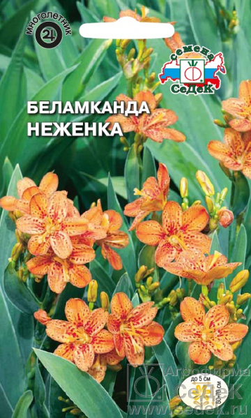 Беламканда Неженка 0,2г "Седек"