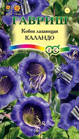Кобея Лазающая Каландо, 5шт