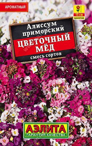 Алиссум Цветочный мед, смесь "Аэлита"