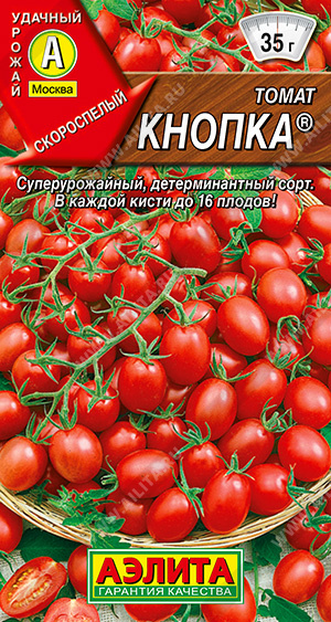 Томат Кнопка  "Аэлита"