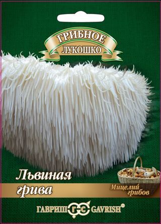 Ямабуши Львиная грива на древесной палочке 12шт