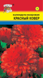 Календула Красный ковер махр  УУ