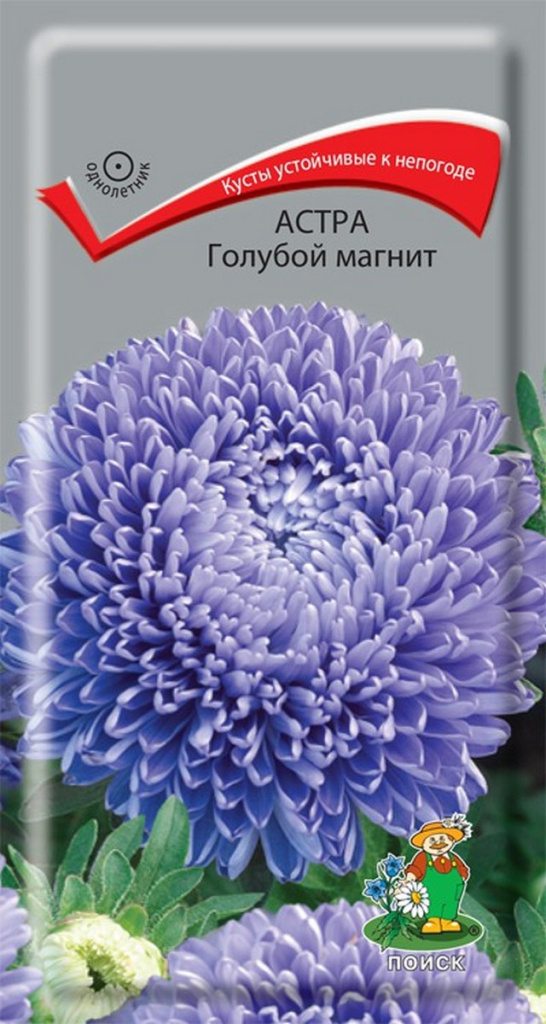 Астра Голубой магнит 0.3г "Поиск"