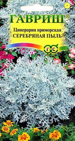 Цинерария  Серебряная пыль, 0,1г