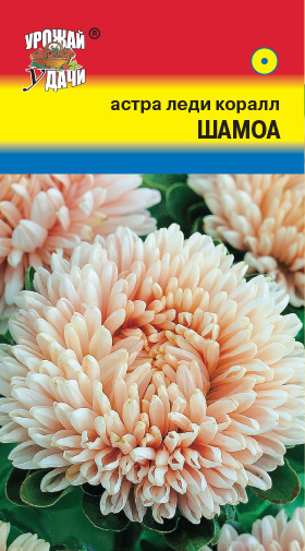 Брусника Коралл 0,05г "Седек"