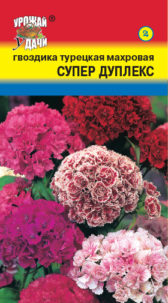 Гвоздика турецкая Супер Дуплекс  УУ