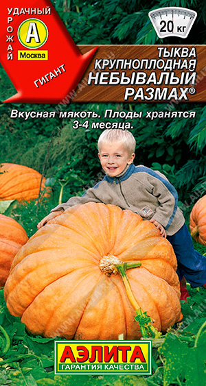 Тыква Небывалый размах 2г "Аэлита"