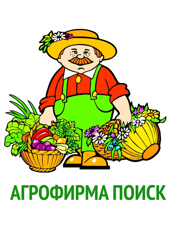 Томат Салатная находка 0,1г "Поиск"