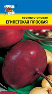 Свекла Египетская плоская  УУ