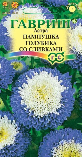 Астра Пампушка голубика со сливками 0,3г