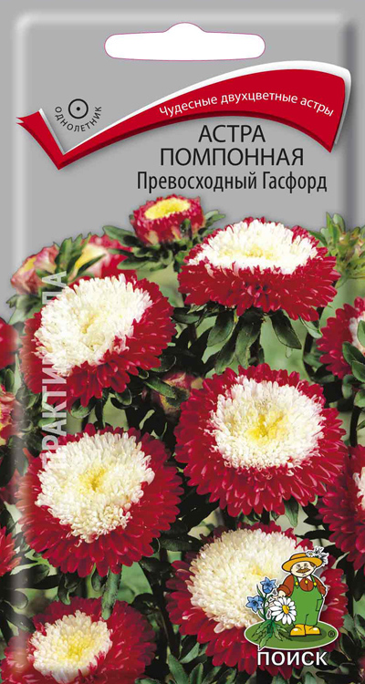 Астра Помпон бело-красный 0,1г