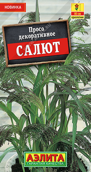 Просо Салют "Аэлита"