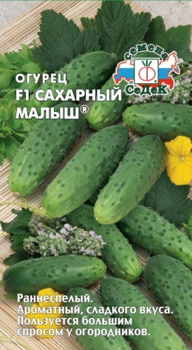 Огурец Сахарный малыш F1 "Седек"