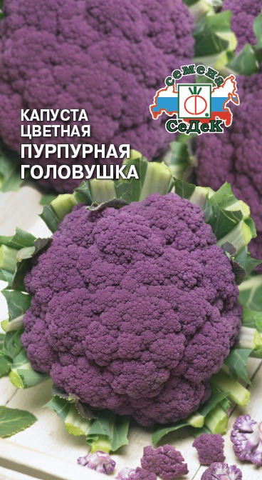 Капуста цветная Пурпурная головушка 0,5г "Седек"