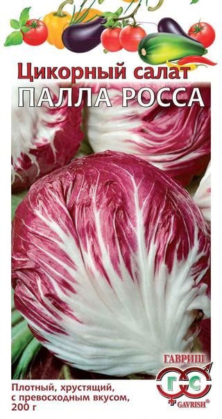 Цикорий Палла Росса салатный 0,1г