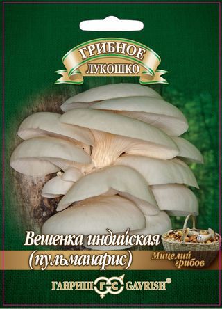 Вешенка индийская Пульмонарис на древ. палочке 12шт
