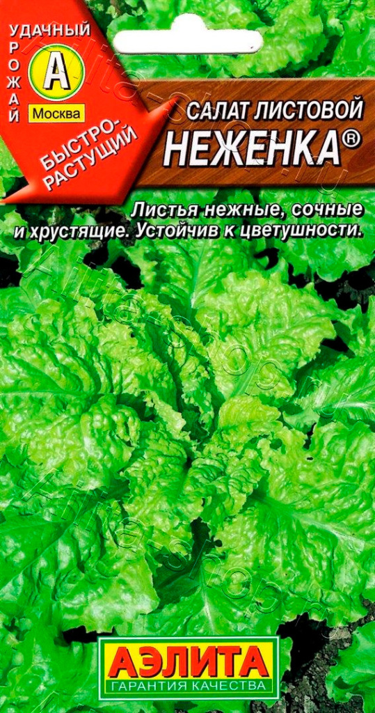 Салат Неженка  "Аэлита"