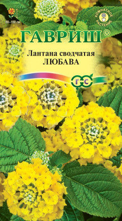 Лантана Камара Любава  0,1г