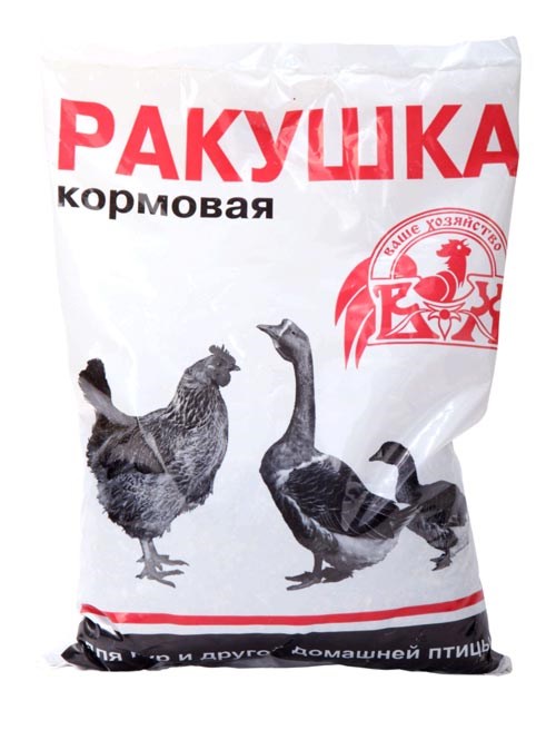 Ракушка морская 1кг (мелкая) 