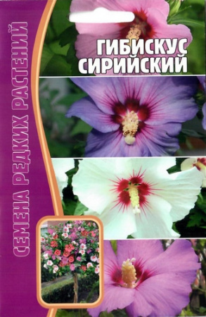 Гибискус Сирийский 7шт "Ред.сем"